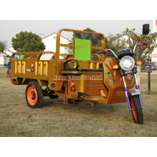 Triciclo eléctrico de carga, Triciclo de carga